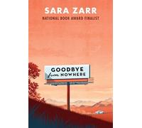 Goodbye from Nowhere: A Young Adult Novel About Parents' Choices and One Summer That Changes Reality