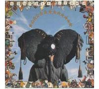 Goodbye Jumbo By World Party (1990-05-08)