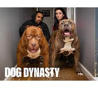 Goodbye Maia: The OG Pitbull Who Started DDK9's