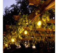 GoodHome Marazion Mains-Powered (Plug-In) Warm White 10 Led Indoor & Outdoor String Lights