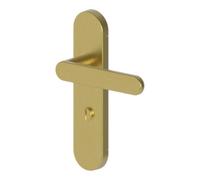 GoodHome Minzh Brushed Brass Effect Aluminium Alloy, Steel & Zinc Alloy Straight Door Handle (L)120mm (D)53.5mm