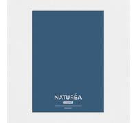 GoodHome Naturéa Gentians Peel & Stick Tester