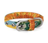 Goodlooking Hello Nice Sunshines Dog Collar with Buckle Cute Pet Necklet Adjustable Safety Pet Collars for Small Dog Medium Dogs Wide Dog Collar