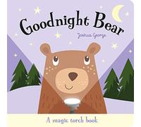 Goodnight Bear (Magic Torch Books)