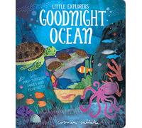 Goodnight Ocean