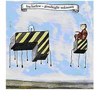 Goodnight Unknown by Barlow, Lou [Music CD]