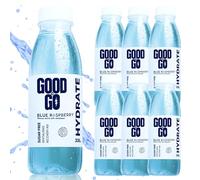 GoodToGo Hydration - Electrolyte Drink with Ginkgo Biloba | 6 x 330ml Bottles Blue Raspberry | Sugar-Free, Caffeine-Free, Vegan | Sports Rehydration & Hangover Recovery, Hydration Tablet Alternative