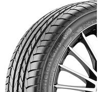 Goodyear EfficientGrip ROF 285/40 R20 104Y , with rim protection (MFS), runflat