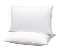 Gooeb Flat Bed Pillows Standard Size Set of 2 Soft Thin Pillow for Stomach Sleeping Adults Plush Fluffy White 20x26 inches