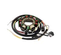 GOOFIT 10 Coil 8 Wire Generator Magneto Stator Ignition Coil Replacement for ATV500
