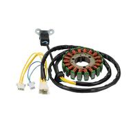 GOOFIT 12 Coil 10 Wire Generator Magneto Stator Ignition Coil Replacement for LM12W-T GTS200 LM18W-6 LN12W2-6 125LN12W4-6 GTS125 LM12W1-7