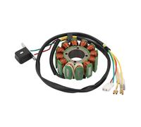 GOOFIT 12 Coil 4 Wire Generator Magneto Stator Ignition Coil Replacement for 250 XCF 2011-2015