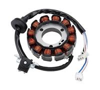 GOOFIT 12 Coil Motorcycle Magneto Stator Coil Ignition Generator Engine Accessories Replacement for Neo 115 2008-2012