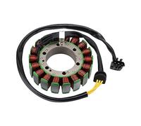 GOOFIT 18 Coil Motorcycle Magneto Stator Coil Ignition Generator Engine Accessories Replacement for 650 750 800 F650GS 2009-2014 F700GS F800R F800S F800GS F800ST F800GT F800 F650 GS ST R