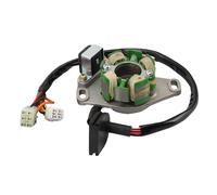 GOOFIT 4 Coil 10 Wire Generator Magneto Stator Ignition Coil Replacement for RM250 1996-2000 32101-37E00 32101-37E10 32101-37E20 32101-37E30 32101-37E40