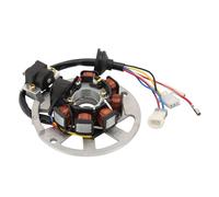 GOOFIT 6 Coil Motorcycle Magneto Stator Coil Ignition Generator Engine Accessories Replacement for Estator Completo Bws100 Axis 100