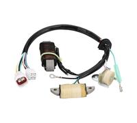 GOOFIT Generator Magneto Stator Coil Replacement for 4EM-85560-10 4EM-8EM-85560-12 YFM 50 Raptor 2004-2008 80 Badger 1995-2001