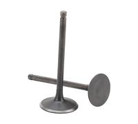 GOOFIT Intake Valve Exhaust Valve Replacement for Helix CN250 Elite CH250 Roketa 250 Linhai Aeolis 260 Water Cooled ATV Go Kart Scooter