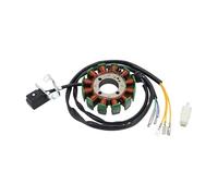 GOOFIT Magneto Stator Coil Replacement for Caravel Shark 250 ATV Scooter