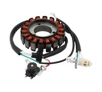 GOOFIT Motorcycle Generator Magneto Stator Coil Replacement for YB125 YB125SPD YBR125 YBR125ED YBR 125 ED 3D9-H1410-10 3D9-H1410-11