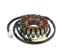 GOOFIT Stator Magneto Coil Replacement for 600 620 695 696 750 796 800 900 1000 S4R S4RS 1100