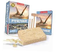 GOOHOCHY 1Pc Archaeology Digging Plaything Dinosaur Educational Pterosaur Excavation Kit Beige DIY Intellectual Development Simulation