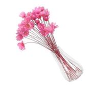 GOOHOCHY 2pcs Miniature Glass Vase with Tiny Dried Flowers for Dollhouse Decorations Compact Mini Artificial Flower Ornaments Sturdy Transparent Glass for Small Spaces and DIY Crafts