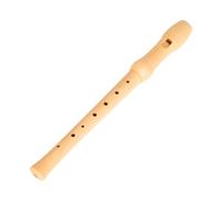 GOOHOCHY Beginner Clarinet Boys and Girls Clarinet Instrument Recorder Boys and Girls Music Instrument for Education