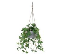 GOOHOCHY Garden Wall-mounted Artificial Rattan Plant Vine Ornament for Home Balcony Office Garden Decor Lightweight Low-maintenance Simulation Greenery for Use