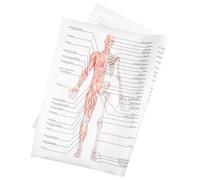 GOOHOCHY Human Anatomy Poster with Skeletal and Muscle Structure, Practical and Easy to Read Silk Fabric Chart for School or Laboratory Use, 50x70cm Educational Body Structure Painting