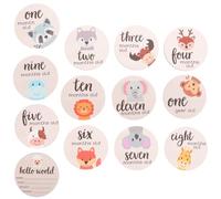 GOOHOCHY Newborn Announcement Sign Wooden Round Photo Props for Shower Featuring Synthetic Material Set for Growth Tracking and New Mothers