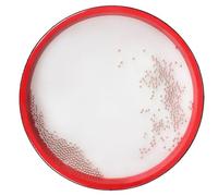 GOOHOCHY Ocean Drum for Children Red Orff Percussion Instrument Hand Drum Music Toy for Educational Play Waves Sound and Rhythm