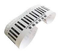 GOOHOCHY Piano Keyboard Stickers Simulation Piano Keyboard Decals for Practice Learning Fits