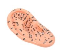 GOOHOCHY Realistic Auricular Ear Model for Teaching Acupuncture and Massage Schools for Acupuncture and Ear Massage Training, PVC Material with Writing and No Fading