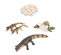 GOOHOCHY Realistic Growth Cycle Plastic Model Educational for Amphibian Simulation Plaything to Enhance Imagination and Animal Cognition Non-fading Material for Indoor and Outdoor Decor