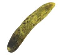 GOOHOCHY Soft Pickle Plush Pillow Food Cushion with Cute Cartoon Design Whimsical Stuffed Lumbar Back Cushion for Adults Cozy Decorative Sofa Pillow for Home and Christmas