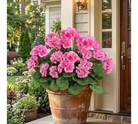 Goopatch Artificial Flowers, 6 Bundles Artificial Geranium Fake Flowers, UV Resistant Artificial Outdoor Flowers, That Look Real Fade Resistant for Porch, Patio & Garden (pink)