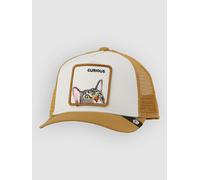 Goorin Bros Curious Cat Mini Cap amber Uni