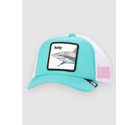 Goorin Bros. Children's Trucker Cap Do Do Doodoo Teal Turquoise, Size: One Size, Ok Zoomer, One Size