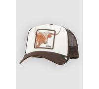 Goorin Bros Over The Line Longhorn Cap dust Uni