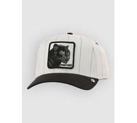 Goorin Bros Pinstripe Panther Cap mineral gray Uni