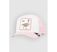 Goorin Bros Silly Goose Mini Cap whisper Uni