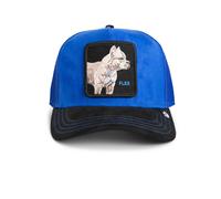 Goorin Bros. Suede Pitbull Trucker Cap Royal Void Baseball Mesh Patch Flex
