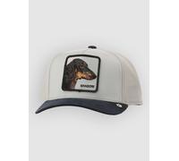 Goorin Bros Suede Shadow Mini Kids Cap edge Uni