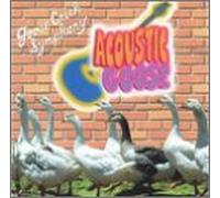 Goose Creek Symphony - Acoustic Goose