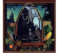 Goose Creek Symphony - Words of Earnest