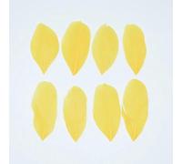 Goose Feathers for Jewelry Making 5-8cm Decoration Geese White Swan Needlework Wedding Handicraft Accessories DIY Craft Supplies-Golden-200Pcs