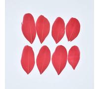 Goose Feathers for Jewelry Making 5-8cm Decoration Geese White Swan Needlework Wedding Handicraft Accessories DIY Craft Supplies-Red-100Pcs