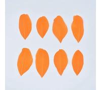Goose Feathers for Jewelry Making 5-8cm Decoration Geese White Swan Needlework Wedding Handicraft Accessories DIY Craft Supplies-Orange-50Pcs