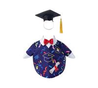 Goose Outfits 2026 Waterproof Lawn Decor